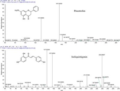 The Pharmacokinetics, Tissue Distribution, Metabolism, and Excretion of Pinostrobin in Rats: Ultra-High-Performance Liquid Chromatography Coupled With Linear Trap Quadrupole Orbitrap Mass Spectrometry Studies